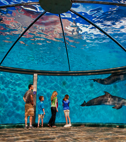 Thursday, July 23rd, Rotary Family Night at the Indianapolis Zoo