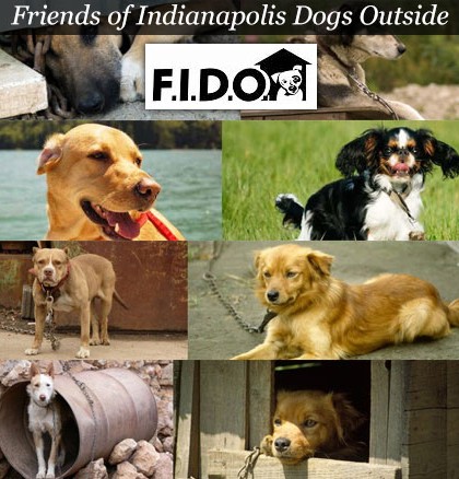 Help F.I.D.O. Break the World Record of 13,000lbs of Pet Food Donated in One Week!