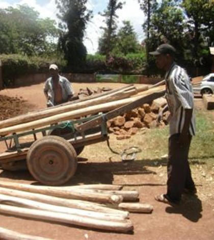 Tanzania fish farm project at Msamaria Children’s Center (WCSC)