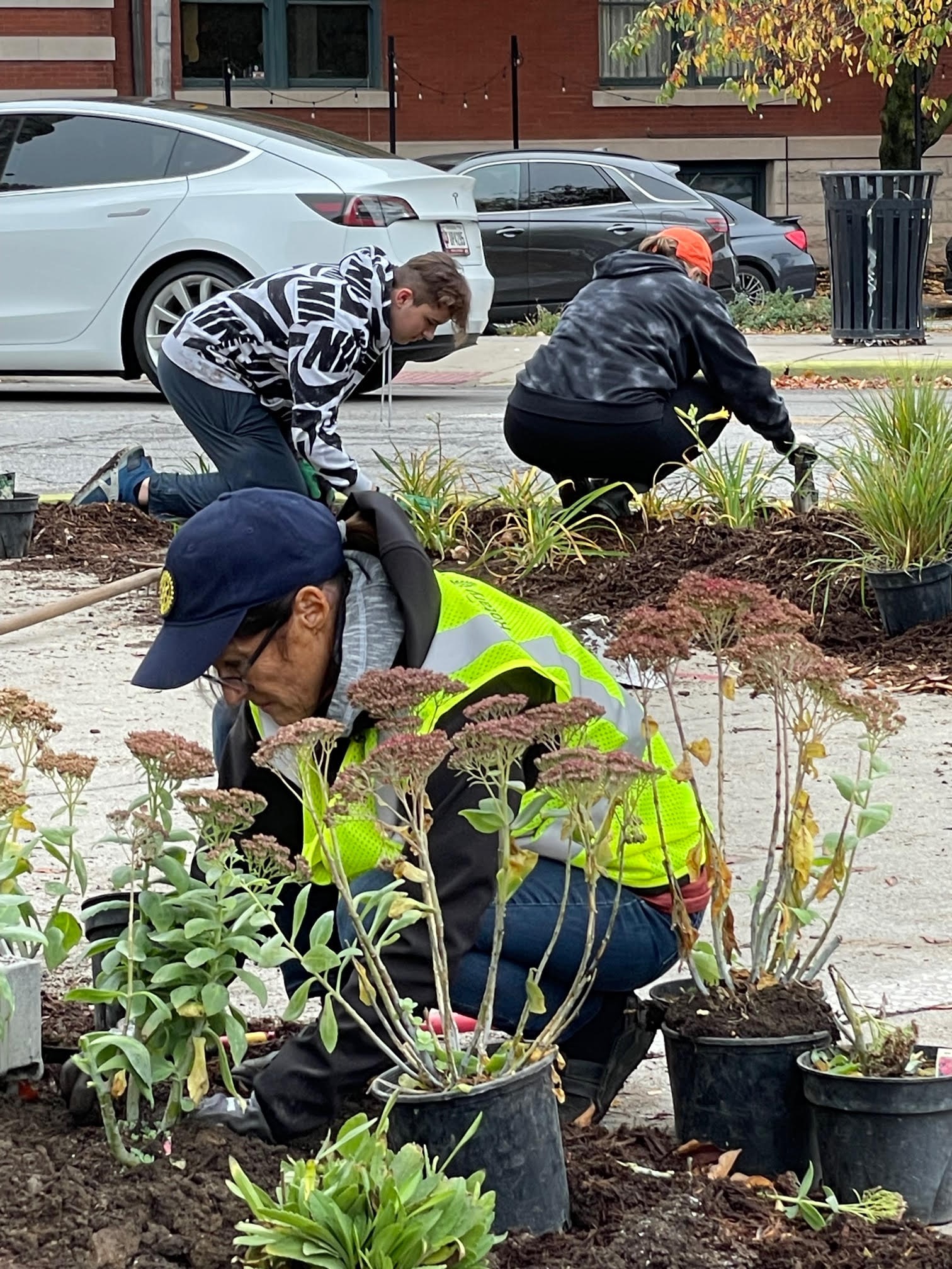 Mass Ave Flower Bed Refresh - Volunteer Opportunity